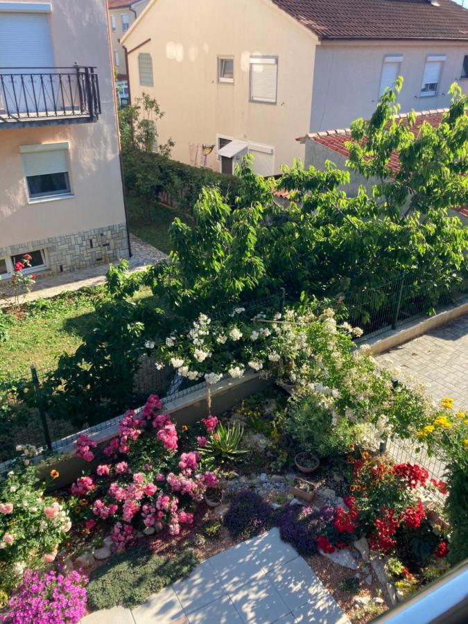 Apartman מדולין מראה חיצוני תמונה